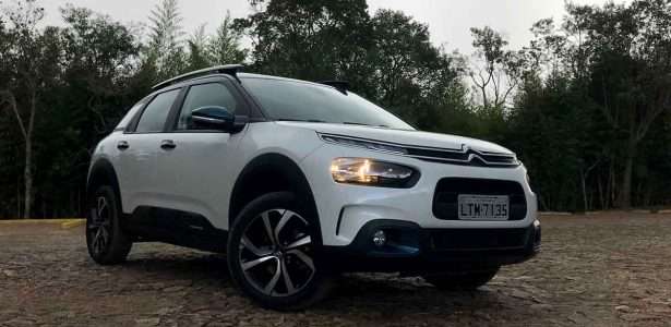 C4 Cactus