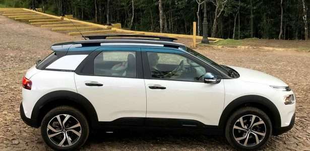 C4 Cactus