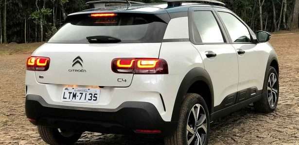 C4 Cactus