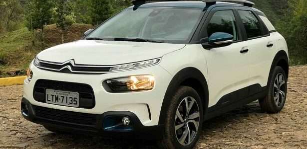 C4 Cactus