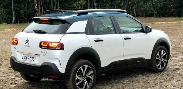 C4 Cactus