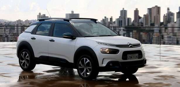 C4 Cactus