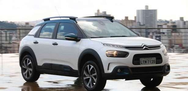 C4 Cactus