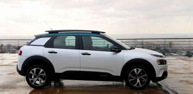 C4 Cactus
