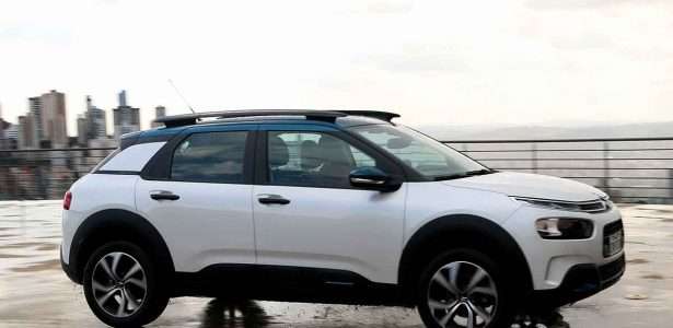 C4 Cactus