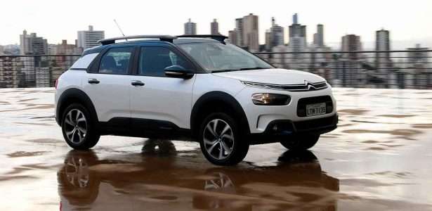 C4 Cactus