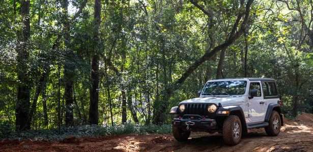 Wrangler 2019