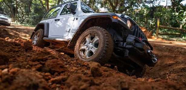 Wrangler 2019