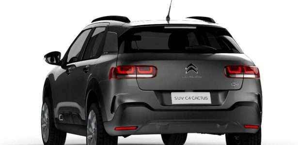 C4 Cactus PcD 2020
