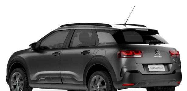 C4 Cactus PcD 2020
