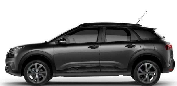 C4 Cactus PcD 2020