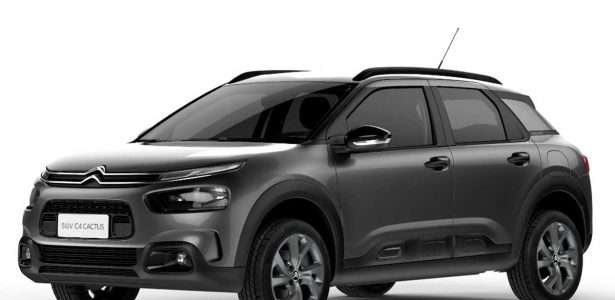 C4 Cactus PcD 2020