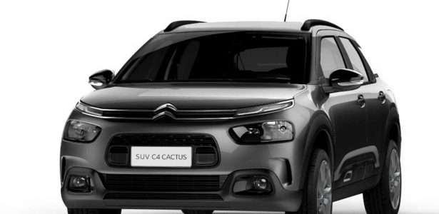 C4 Cactus PcD 2020