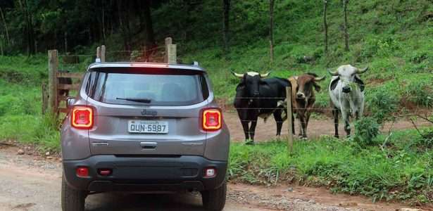 Renegade Trailhawk