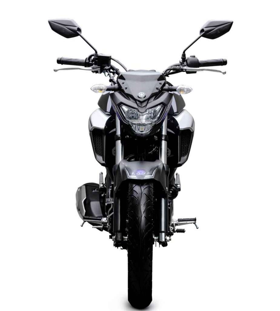 Yamaha Fazer 250 Pantera Negra