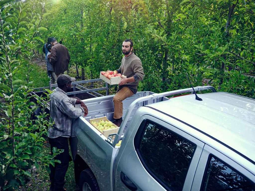 Landtrek