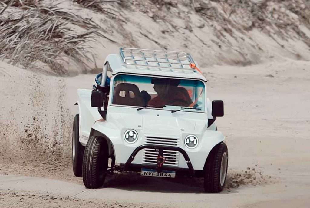 Buggy Fiber 1.8