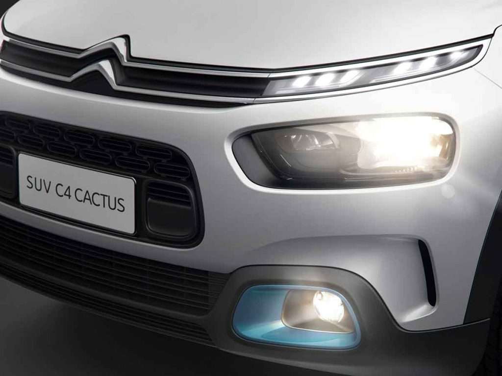 C4 Cactus
