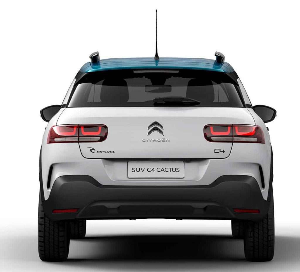 C4 Cactus