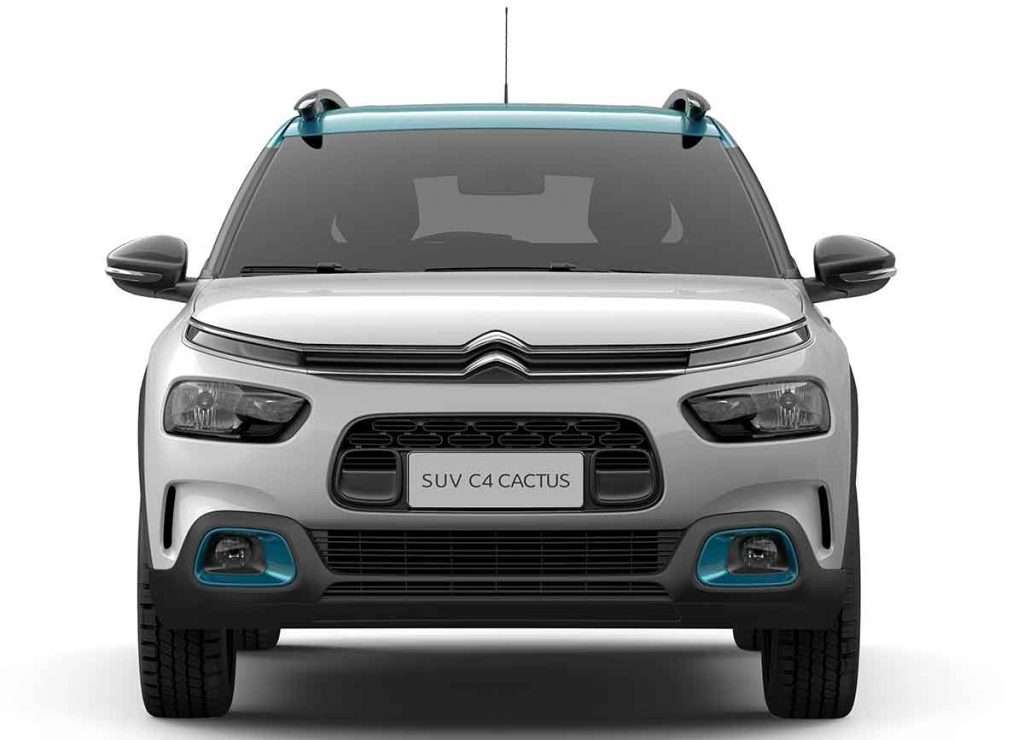 C4 Cactus