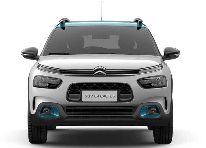 C4 Cactus
