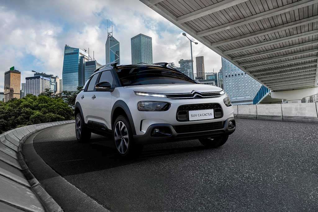 Special Week C4 Cactus