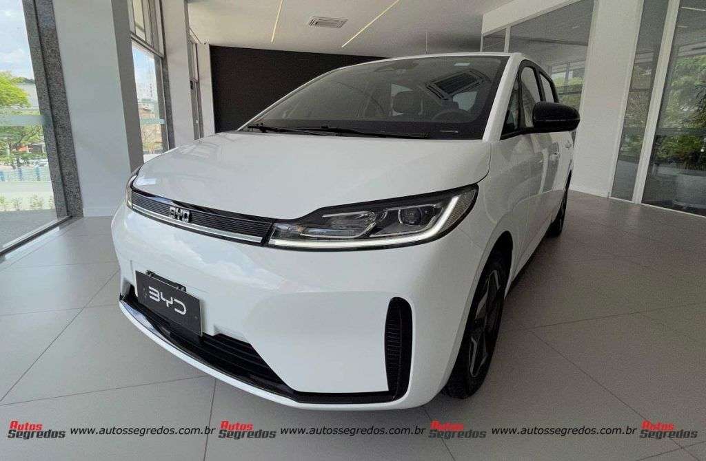BYD D1