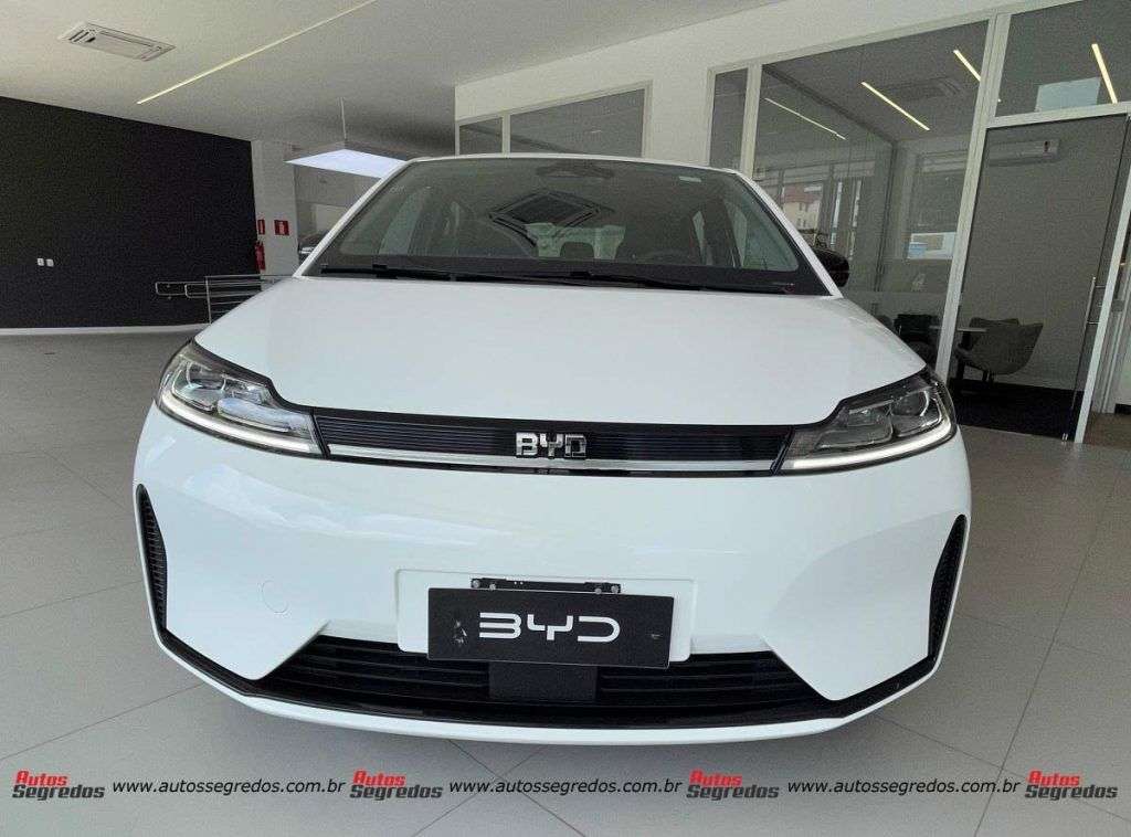 BYD D1