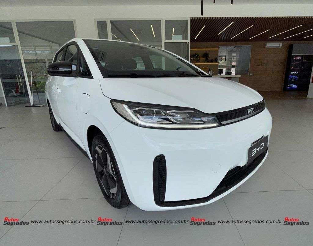 BYD D1