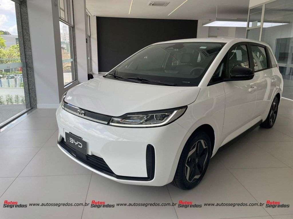 BYD D1