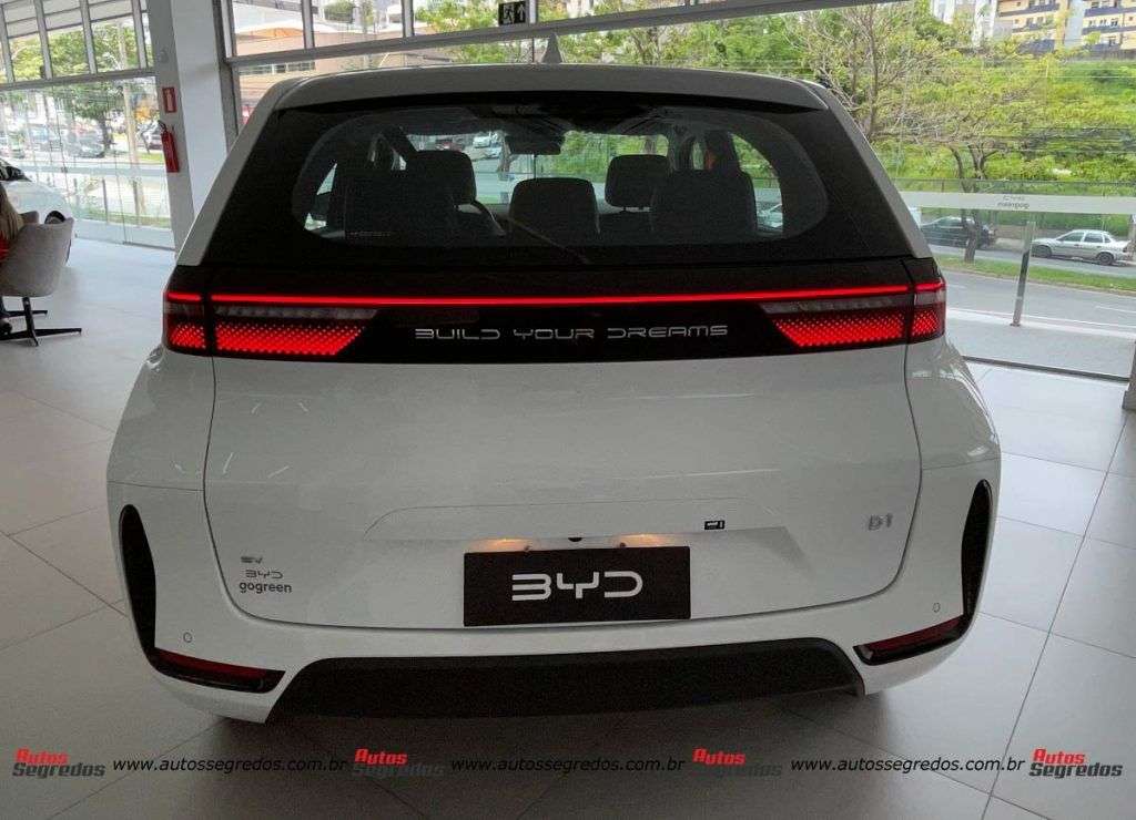 BYD D1