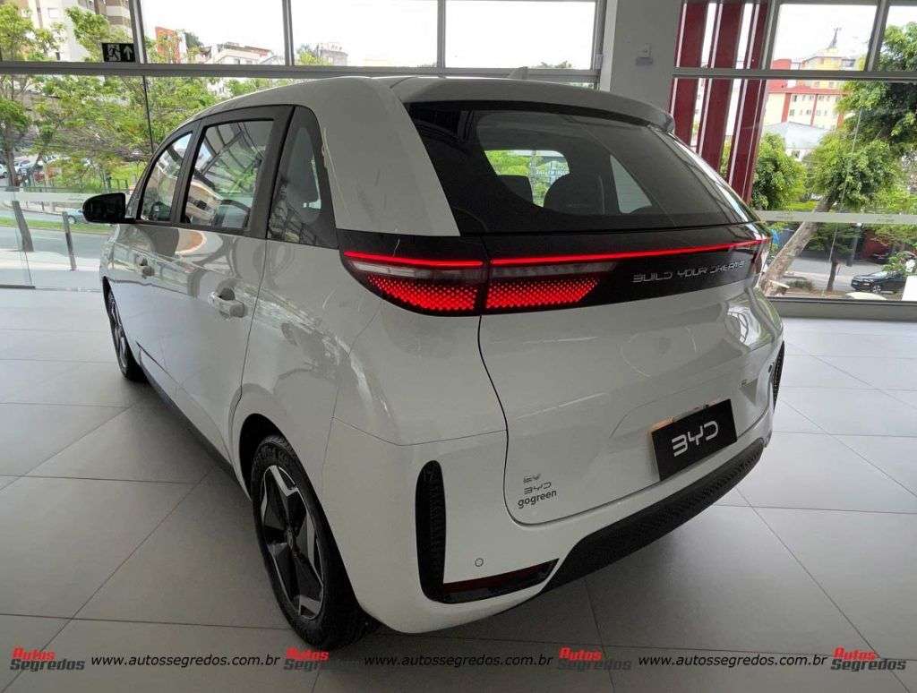 BYD D1