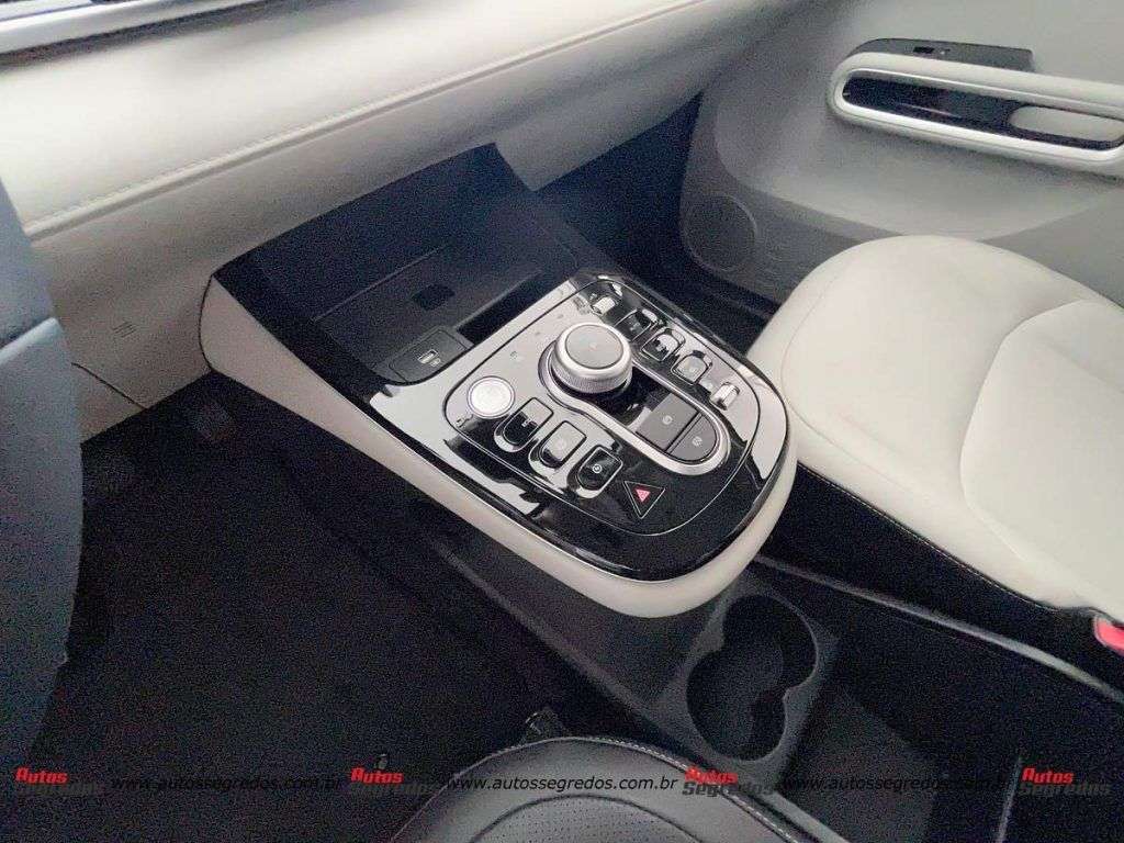 BYD D1