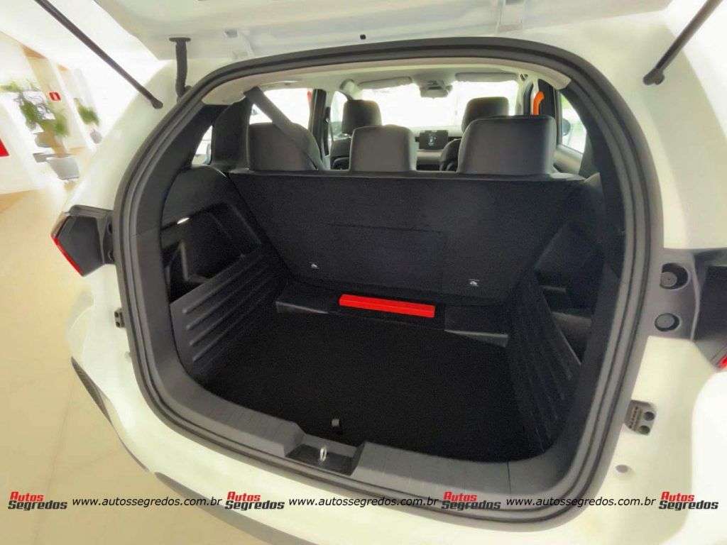 BYD D1
