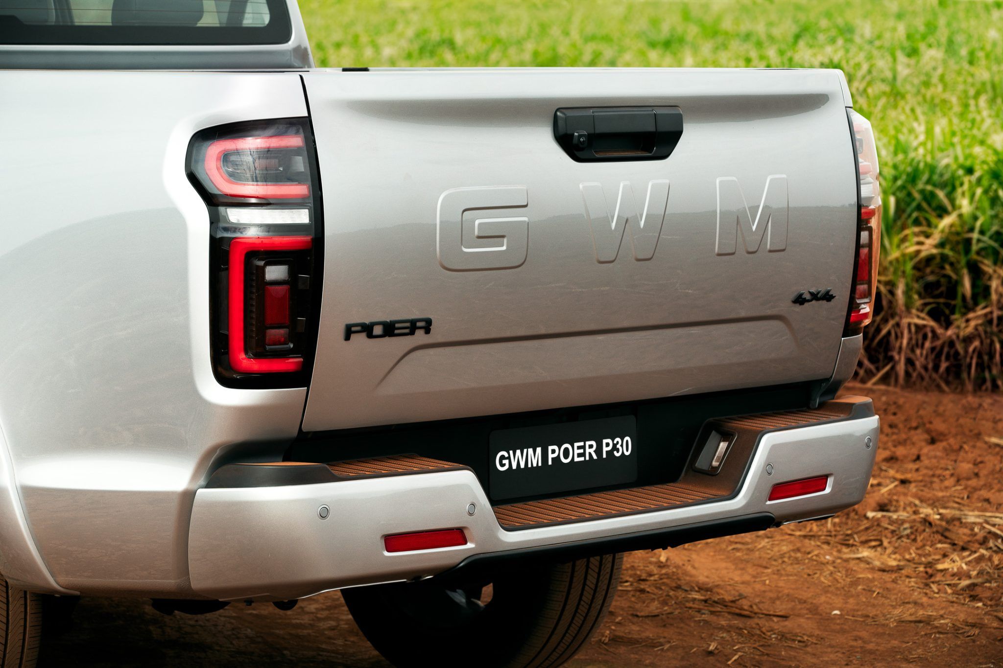 GWM Poer P30
