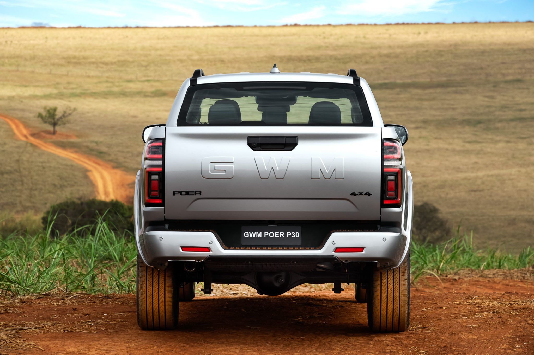 GWM Poer P30