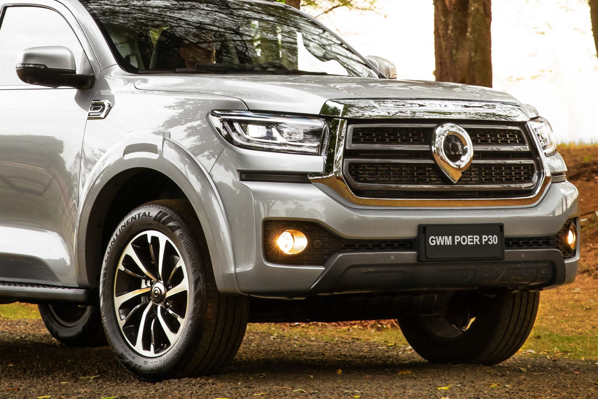 GWM Poer P30