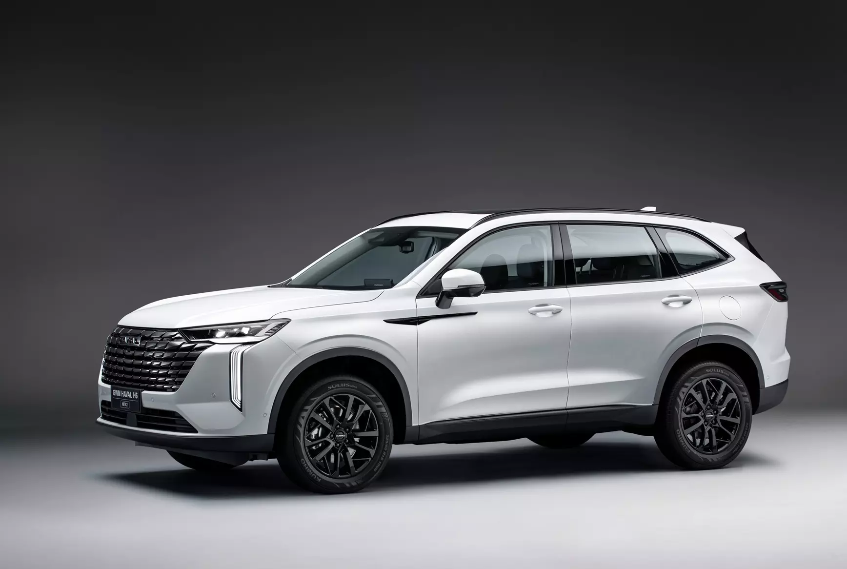 GWM Haval H6 HEV é série especial para público PcD e vendas corporativas